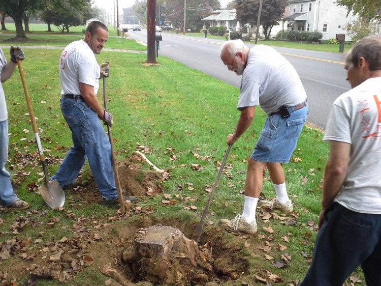 We eventually just ripped it out with our bare hands.