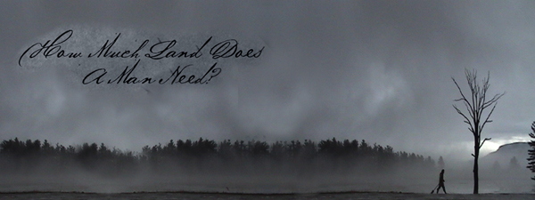 how much land does a man need